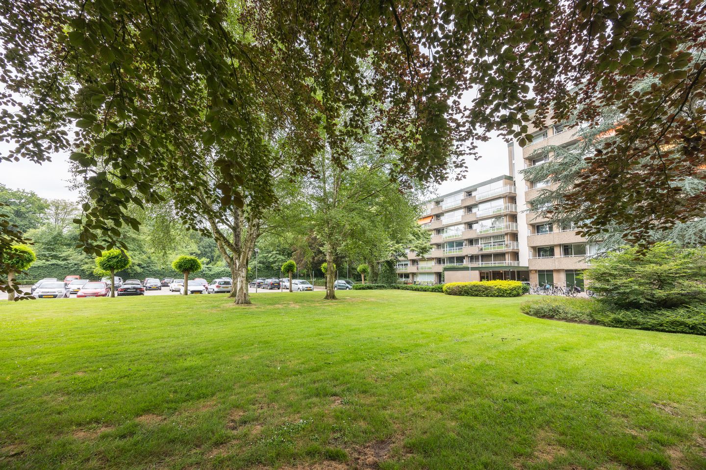 Foto 40 van de Wilmskamp 65