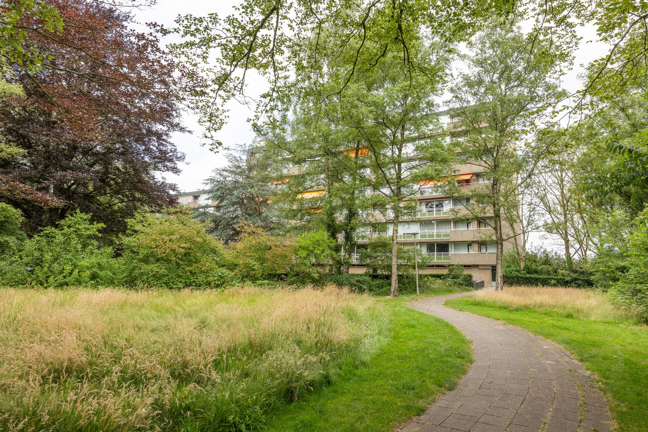 Foto 42 van de Wilmskamp 65