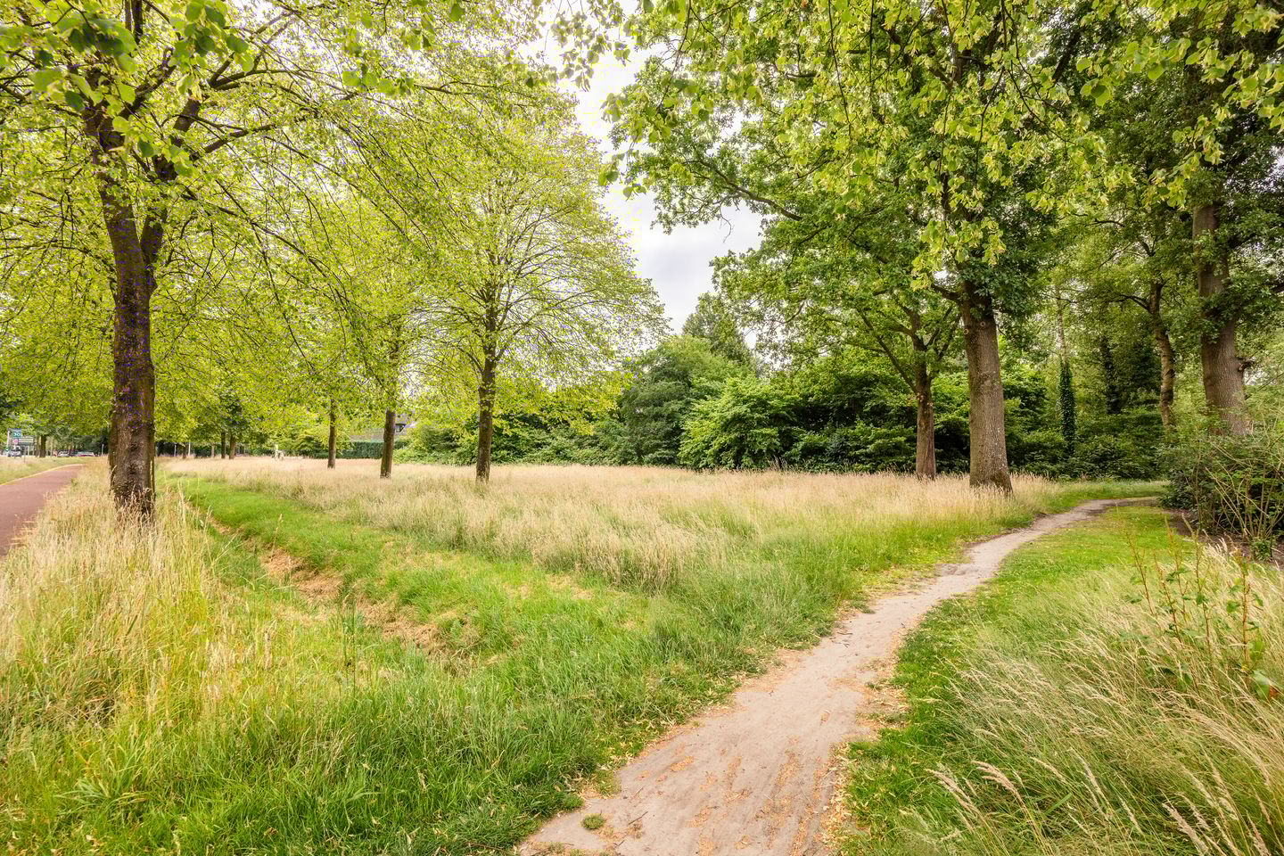 Foto 44 van de Wilmskamp 65