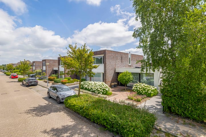 Foto 6 van Paardenbloem 7