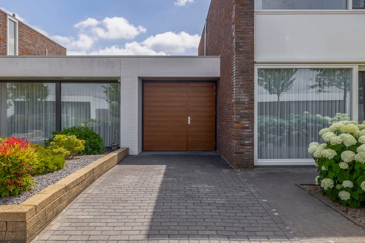 Foto 8 van Paardenbloem 7