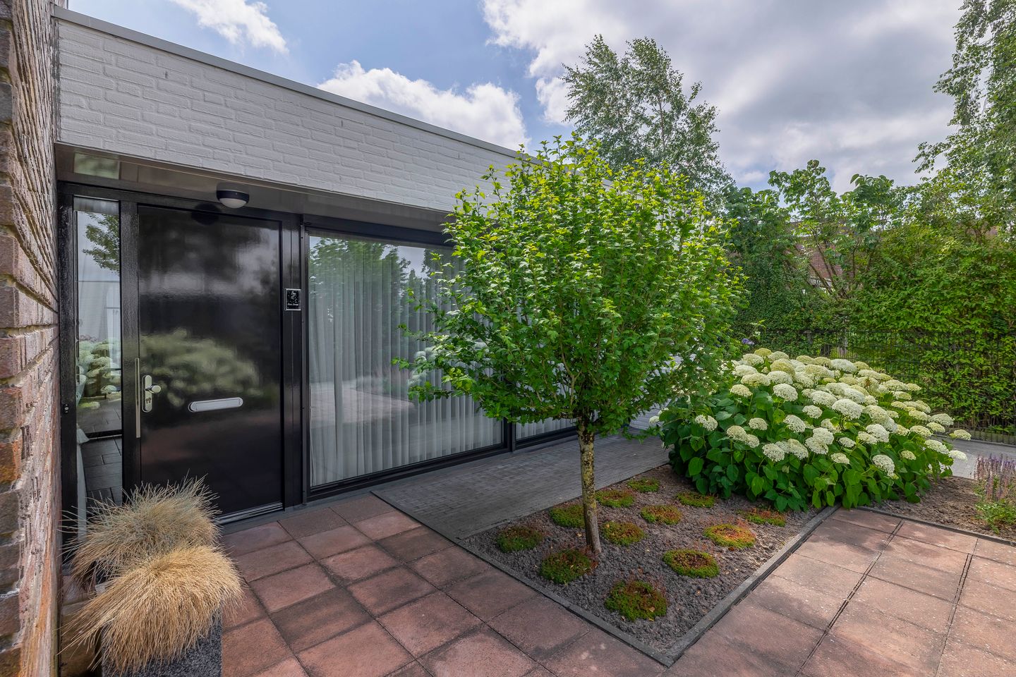 Foto 10 van Paardenbloem 7