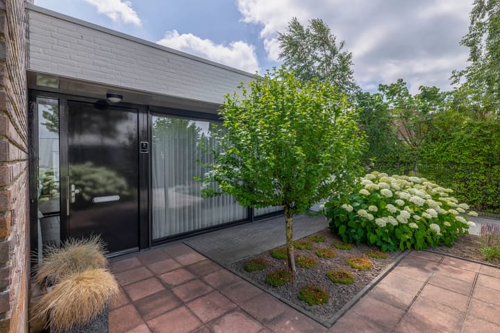 Foto 10 van Paardenbloem 7