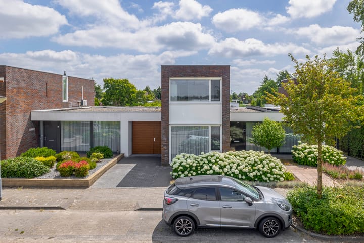 Foto 7 van Paardenbloem 7