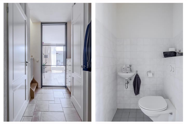 Foto 12 van Paardenbloem 7