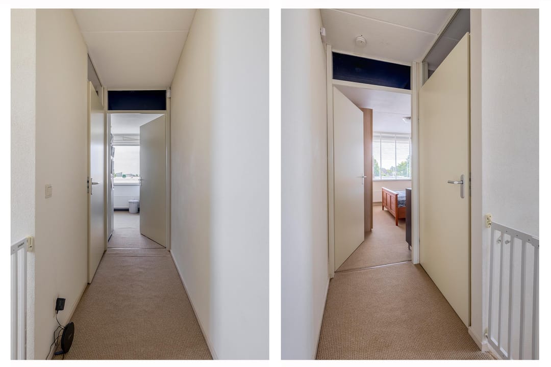 Foto 22 van Paardenbloem 7