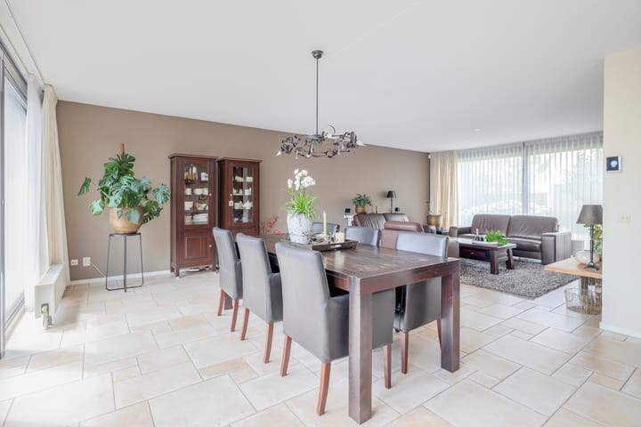 Foto 17 van Paardenbloem 7