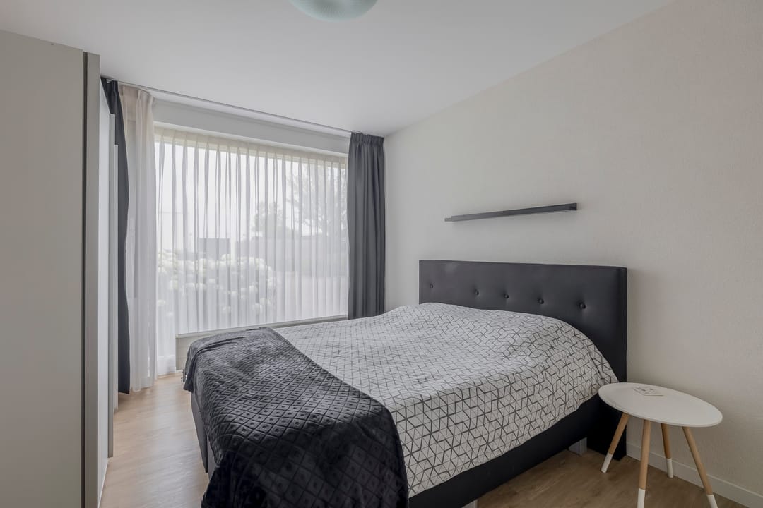 Foto 28 van Paardenbloem 7