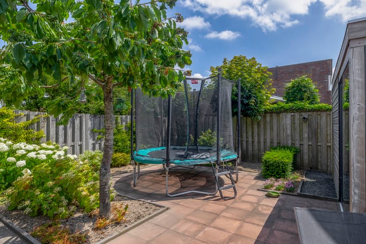 Foto 35 van Paardenbloem 7