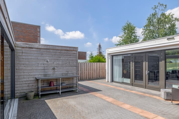 Foto 36 van Paardenbloem 7