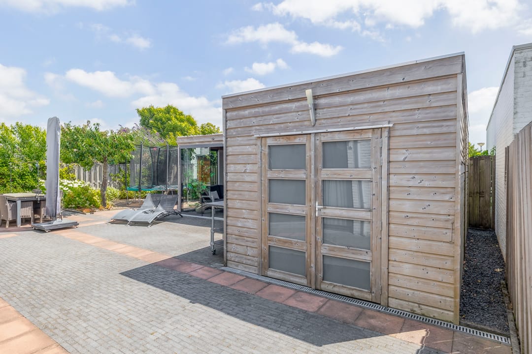 Foto 38 van Paardenbloem 7