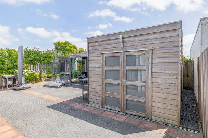 Foto 38 van Paardenbloem 7