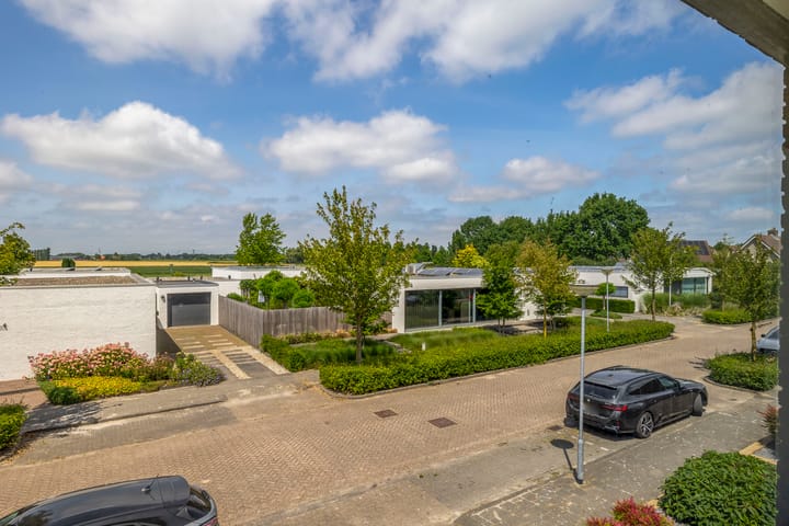 Foto 42 van Paardenbloem 7