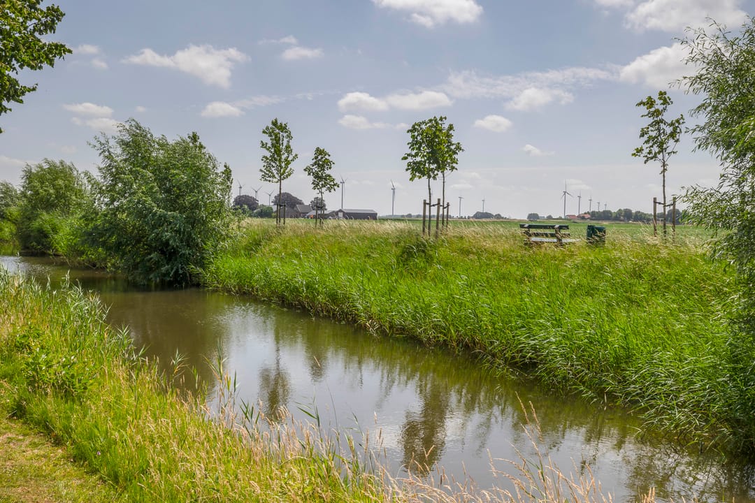 Foto 43 van Paardenbloem 7