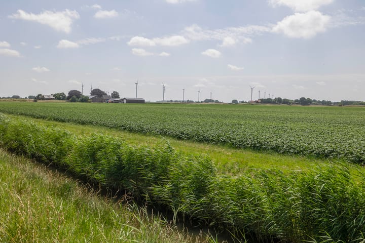 Foto 44 van Paardenbloem 7