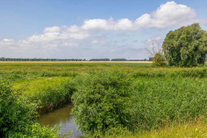 Foto 45 van Paardenbloem 7