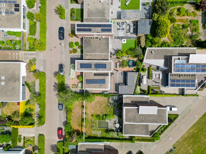 Foto 48 van Paardenbloem 7