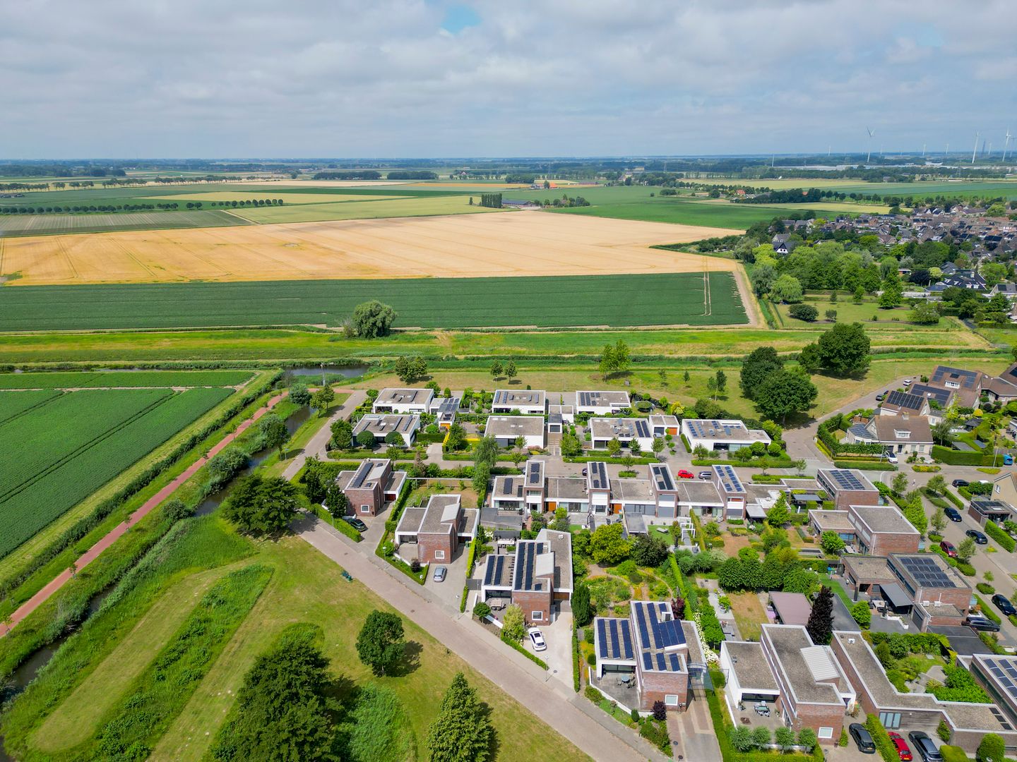 Foto 49 van Paardenbloem 7