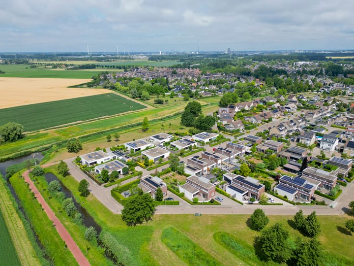 Foto 50 van Paardenbloem 7