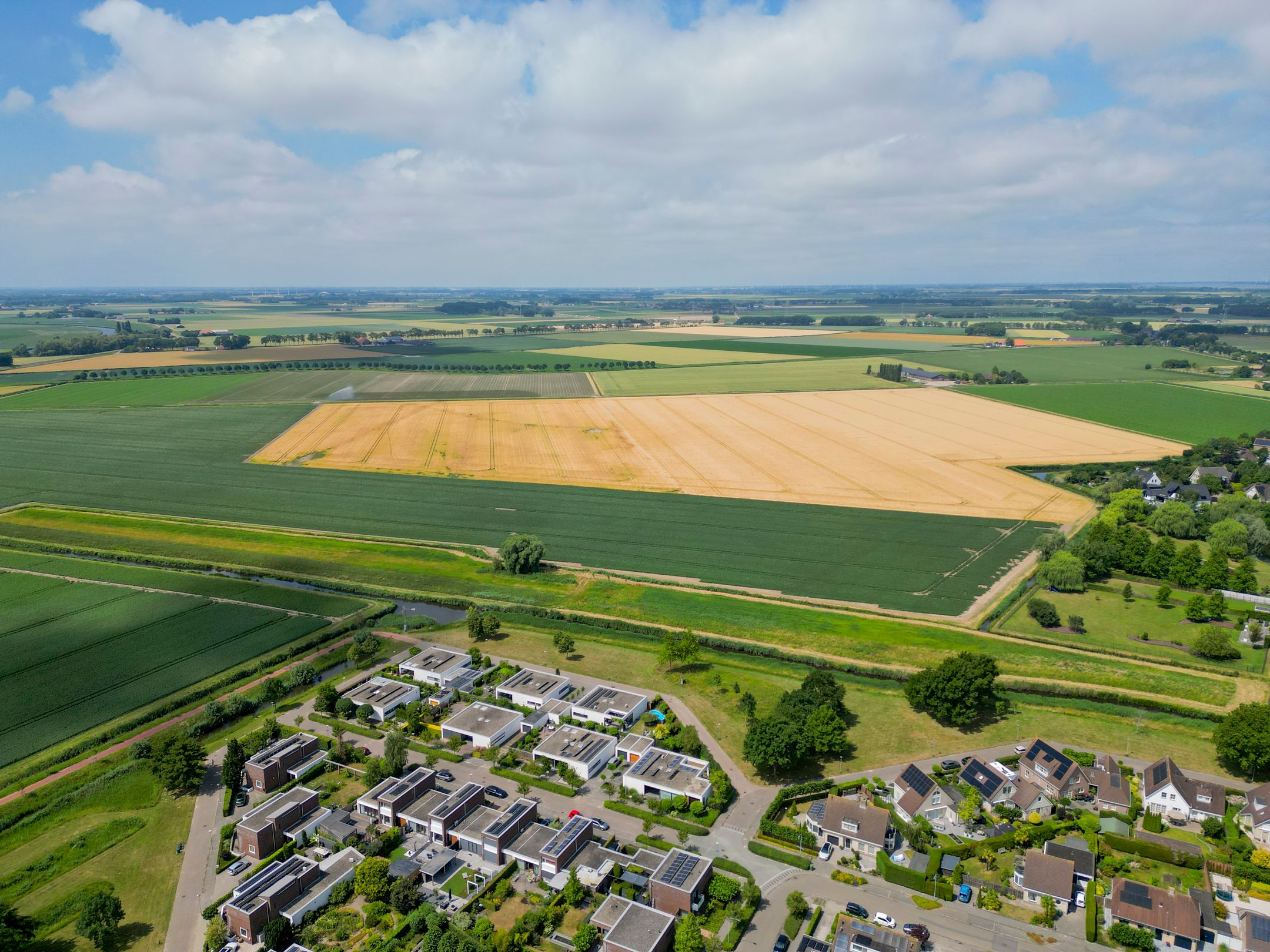 Foto 51 van Paardenbloem 7