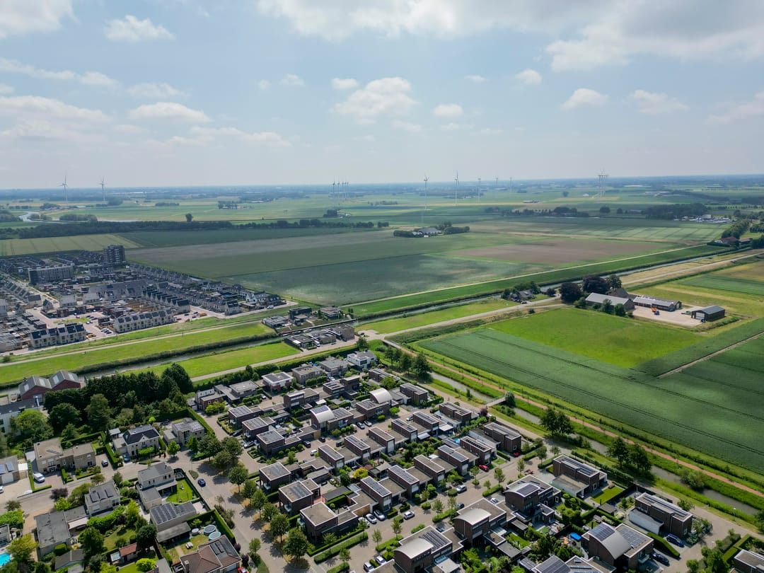 Foto 52 van Paardenbloem 7