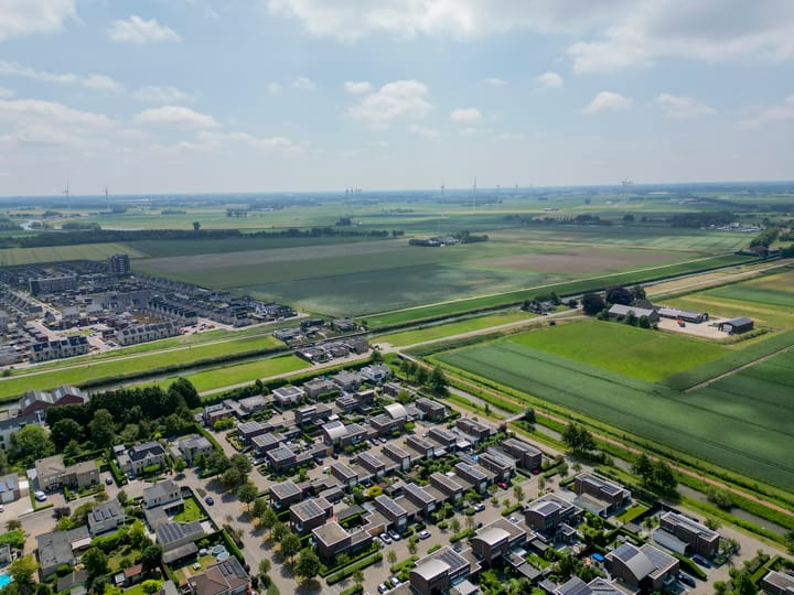 Foto 52 van Paardenbloem 7