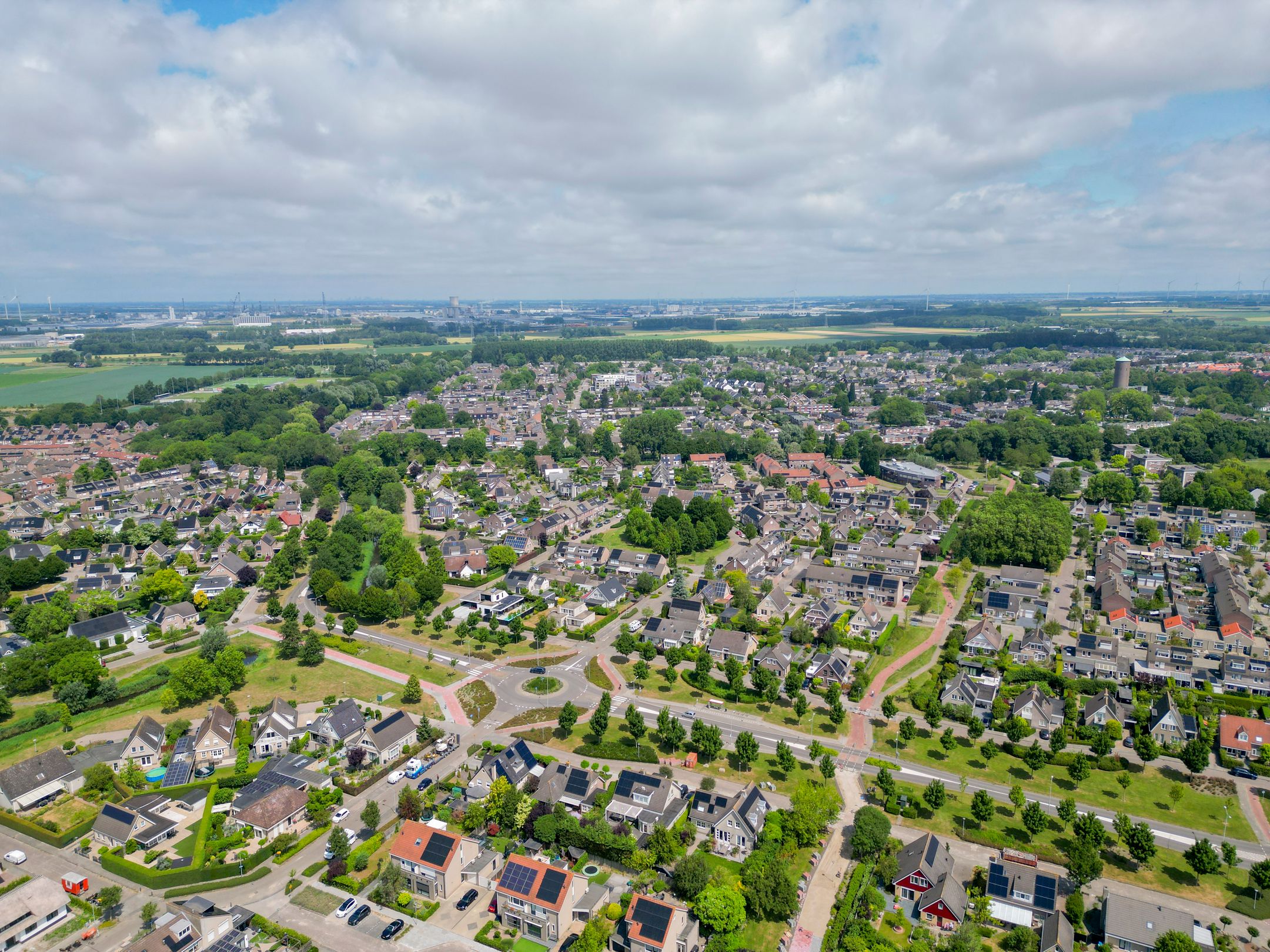 Foto 54 van Paardenbloem 7