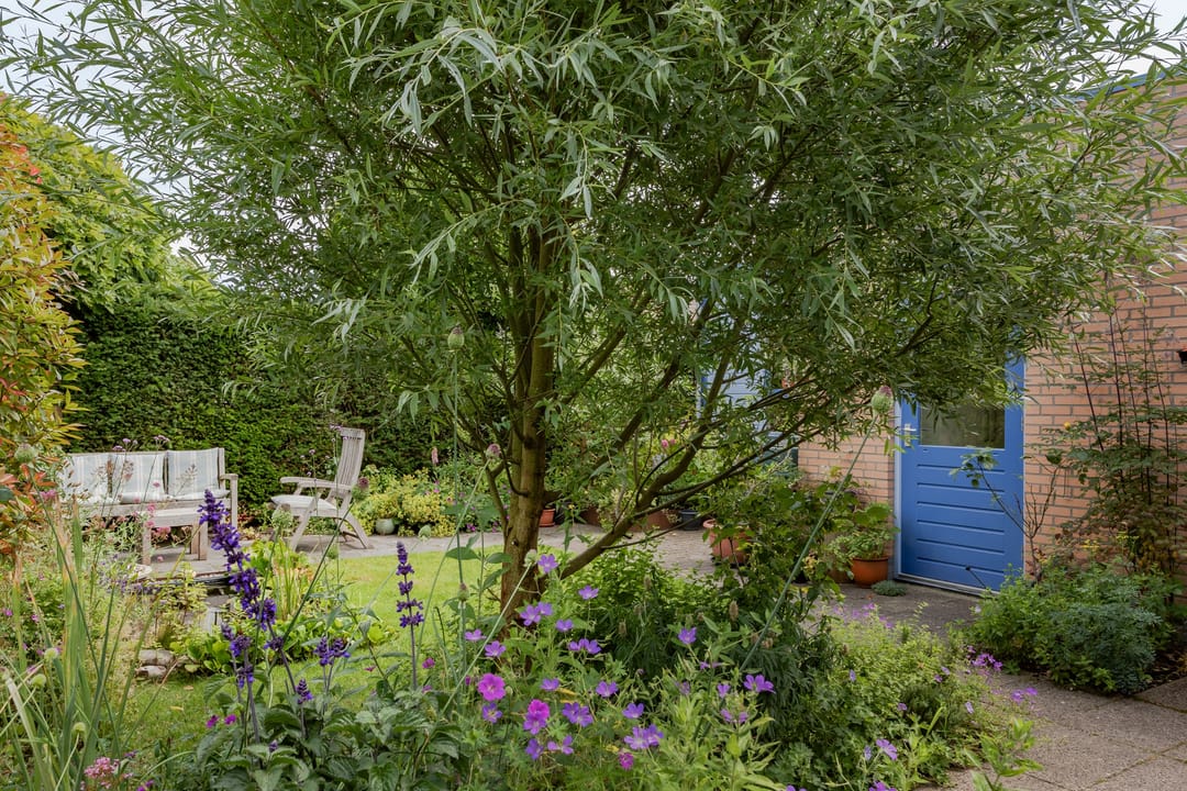 Photo 37 of Nuwendoorn 63