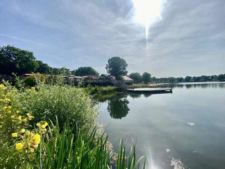 Foto 27 van Hommelweg 2-500