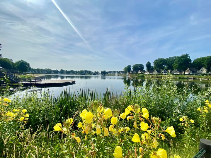 Foto 30 van Hommelweg 2-500