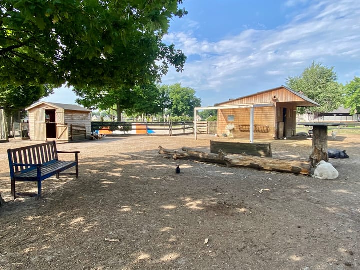 Foto 31 van Hommelweg 2-500