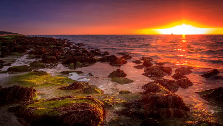 Een promotiefoto voor op kantoor