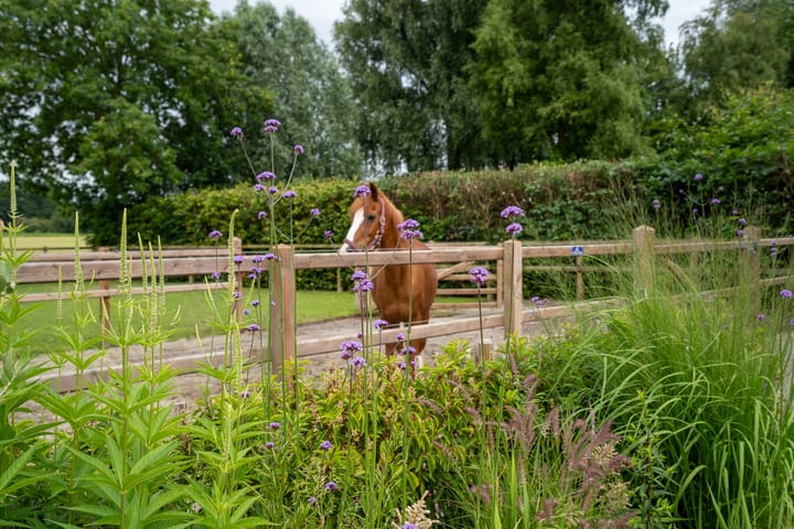 Foto 42 van Meenteweg 75