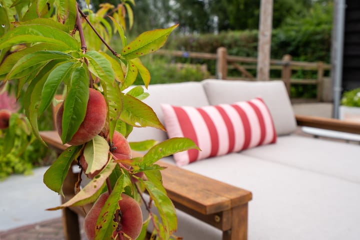 Foto 43 van Meenteweg 75