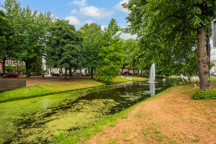 Foto 16 van Eendrachtsweg 64-D