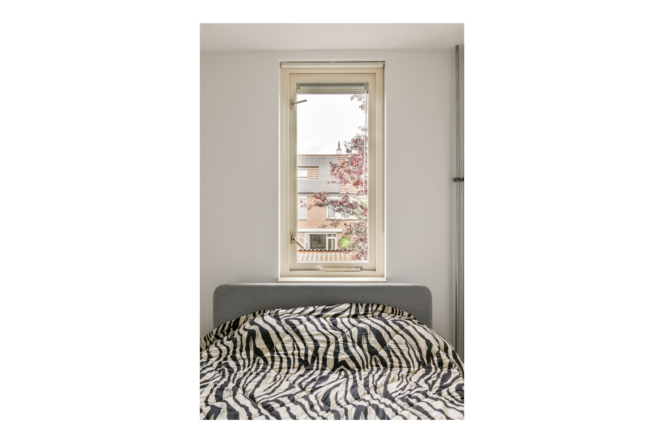 Foto 27 van Clusiusstraat 3