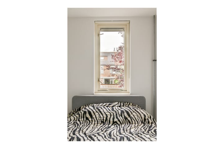 Foto 27 van Clusiusstraat 3