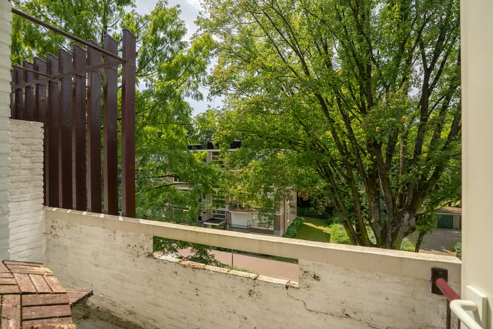 Foto 12 van Park de Kotten 34