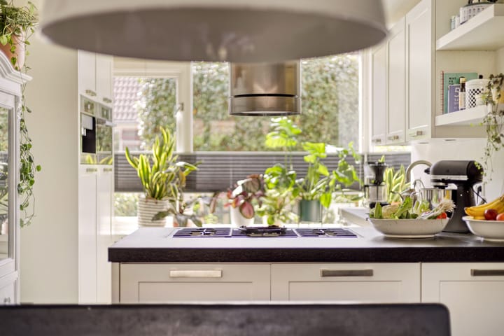 Foto 14 van Boezem 5