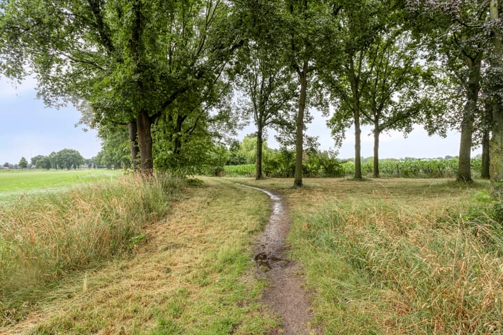 Foto 36 van Tromplaan 7