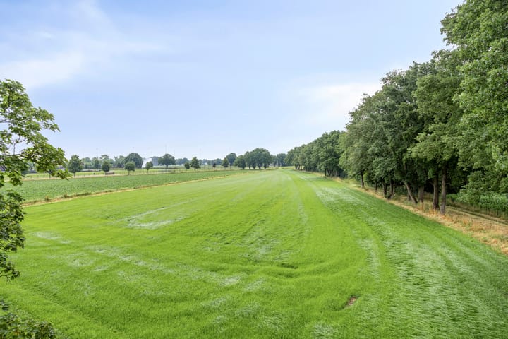 Foto 37 van Tromplaan 7