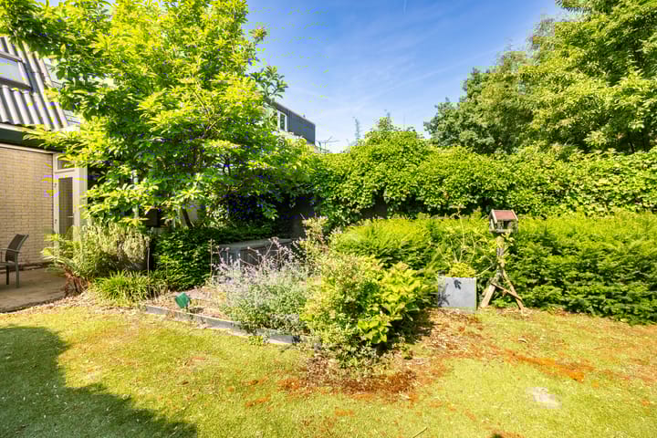 Foto 12 van Lepelaar 15