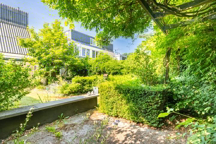 Foto 14 van Lepelaar 15