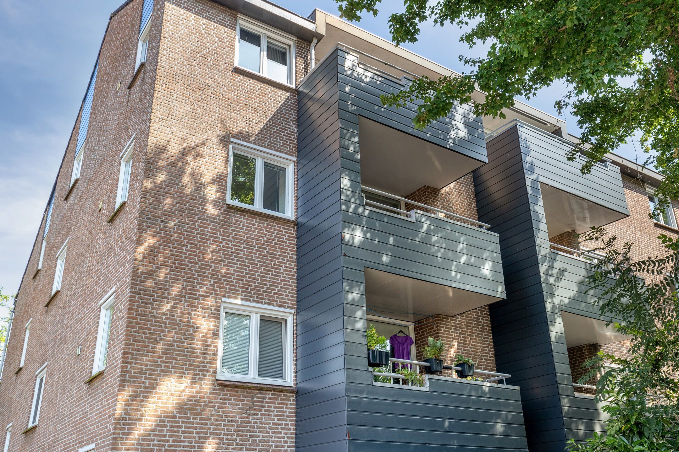 Foto 18 van Engelsetuin 12