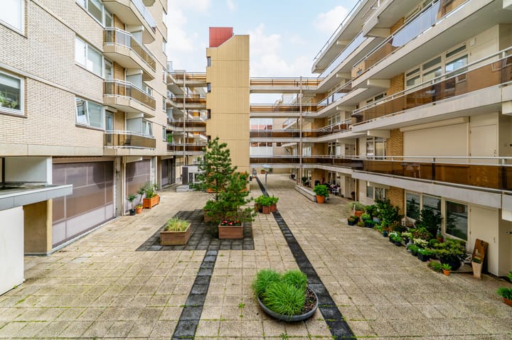 Foto 31 van Reinout 30