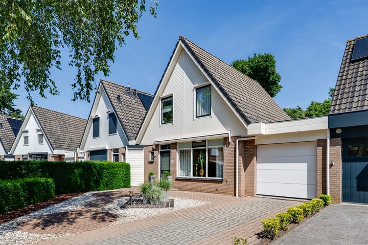 Foto 4 van Papaver 22