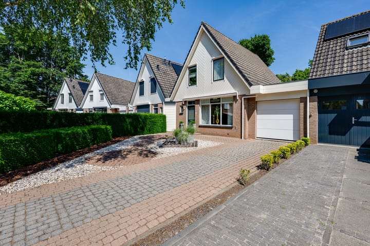 Foto 5 van Papaver 22