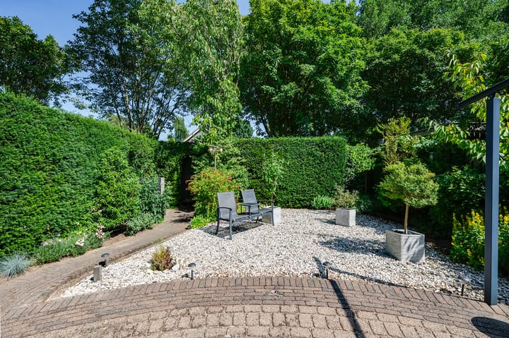 Foto 24 van Papaver 22