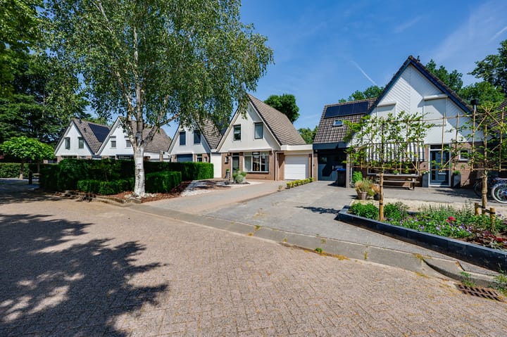 Foto 27 van Papaver 22