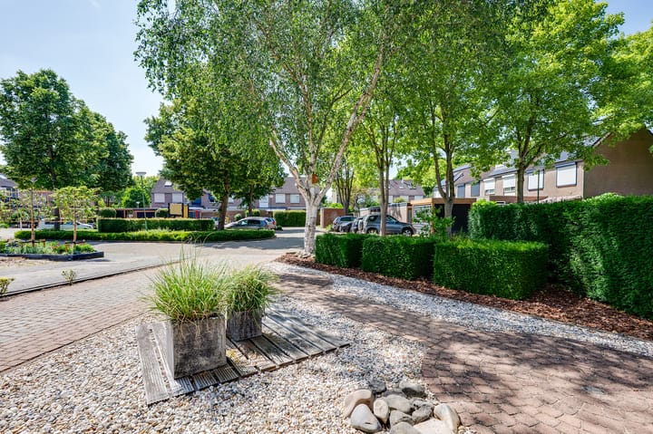 Foto 28 van Papaver 22